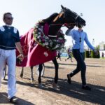 Elitloppet TV tider 2025 - vilken tid går finalen i Elitloppet 2025 på TV?