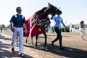 Elitloppet TV tider 2025 - vilken tid går finalen i Elitloppet 2025 på TV?
